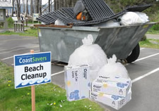 beachcleanup