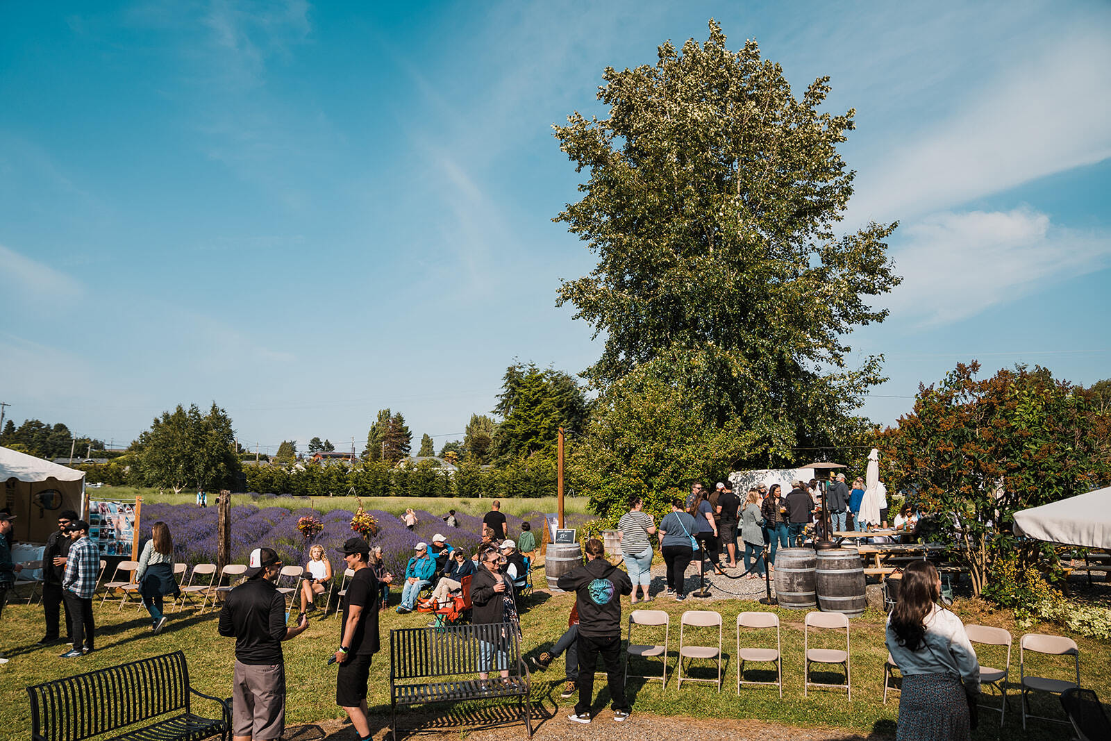 People gathering in a field with chairs, tables under blue skies and trees