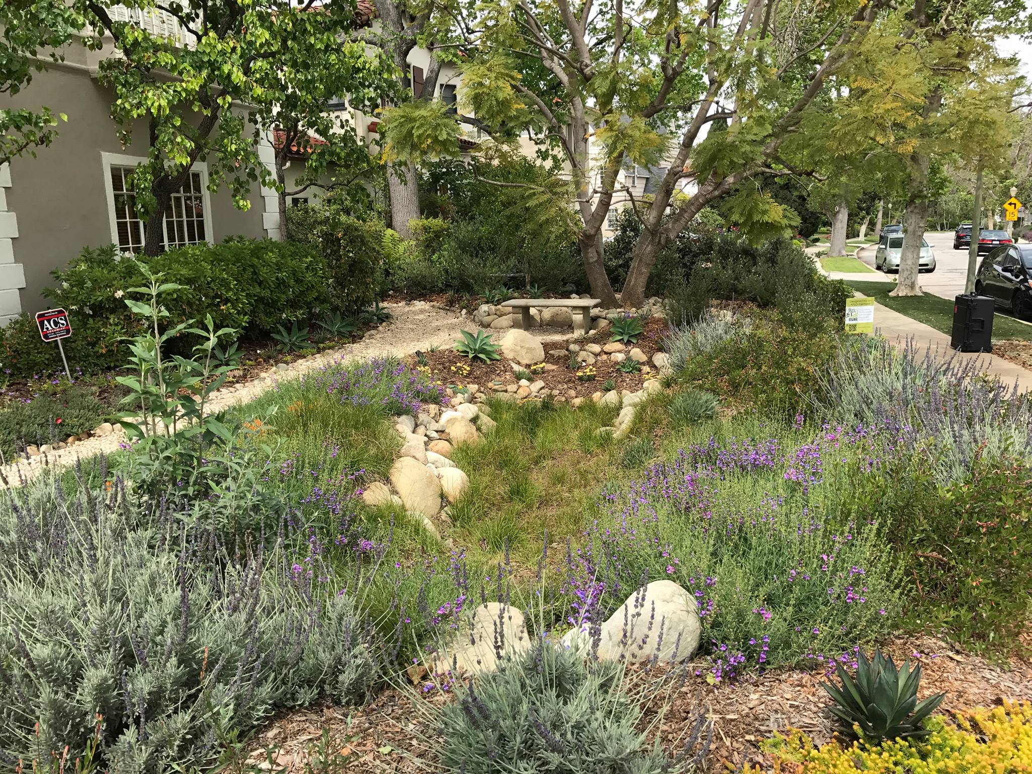 Ocean friendly garden in front of a home